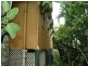Cairns QLD 4870