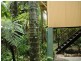 Cairns QLD 4870