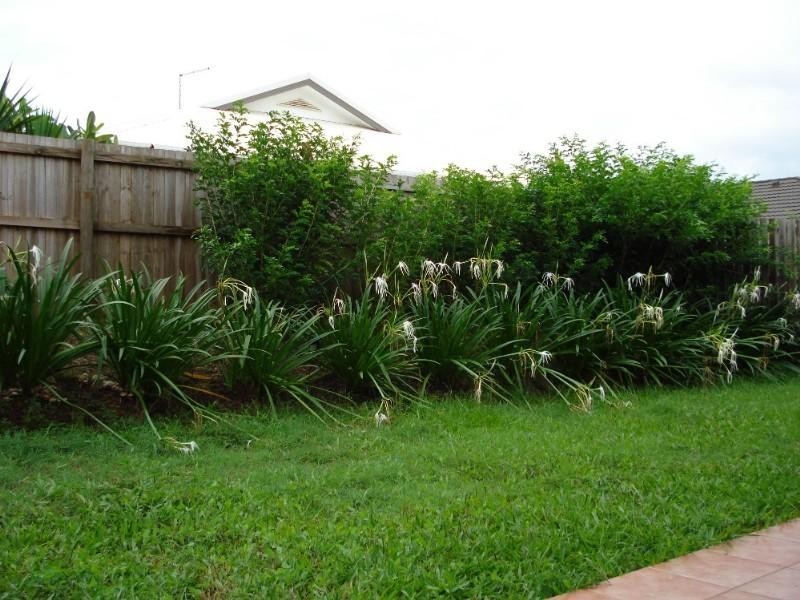 Mount Sheridan QLD 4868