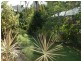 2 Escape Close, Clifton Beach QLD 4879