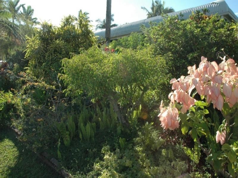 2 Escape Close, Clifton Beach QLD 4879