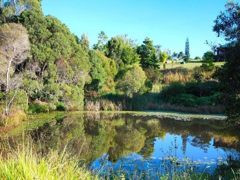 37 Kelly Road, Kuranda QLD 4881