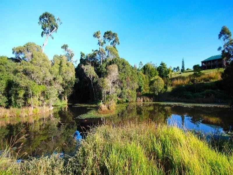 37 Kelly Road, Kuranda QLD 4881