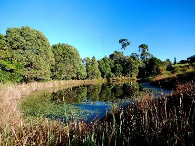 37 Kelly Road, Kuranda QLD 4881