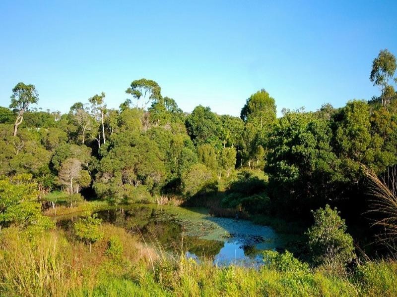 37 Kelly Road, Kuranda QLD 4881