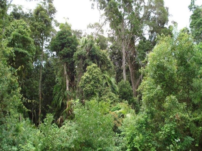Kuranda QLD 4881