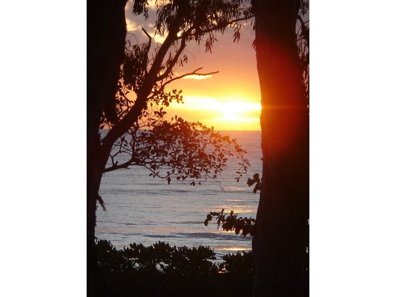 Clifton Beach QLD 4879