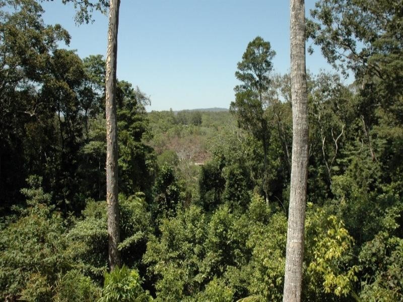 46 Silkwood Avenue, Kuranda QLD 4881