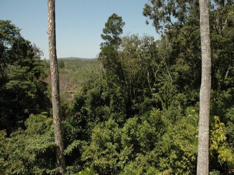 46 Silkwood Avenue, Kuranda QLD 4881