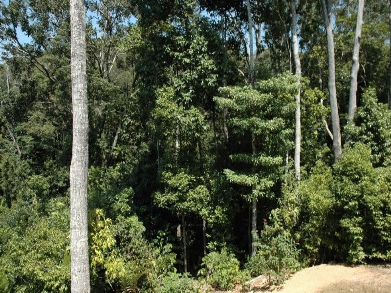 46 Silkwood Avenue, Kuranda QLD 4881