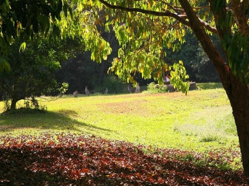 48 Masons Road, Kuranda QLD 4881