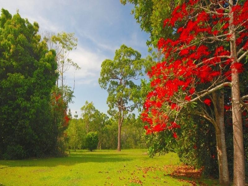 Kuranda QLD 4881