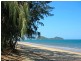Palm Cove QLD 4879