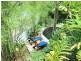 Palm Cove QLD 4879