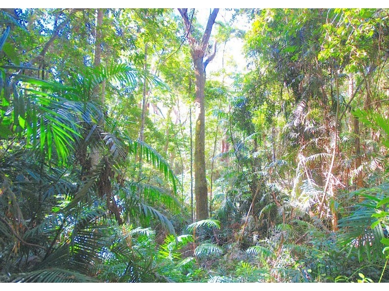 Kuranda QLD 4881