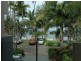 Palm Cove QLD 4879