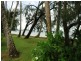 Palm Cove QLD 4879