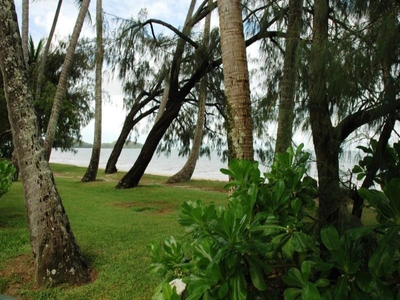 Palm Cove QLD 4879