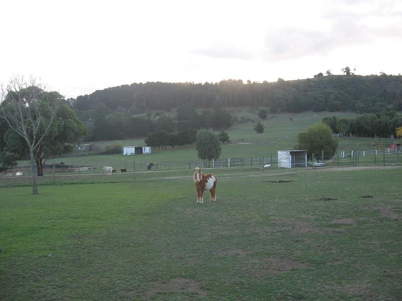 425 Sixth Avenue, Eden Park VIC 3757