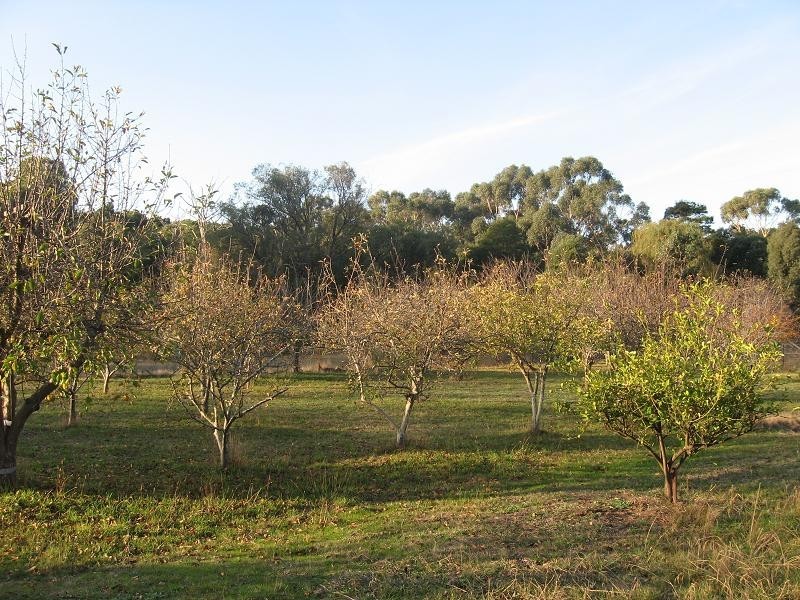 455 Glenburnie Road, Eden Park VIC 3757