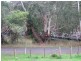 15 Broome Road, Flowerdale VIC 3658