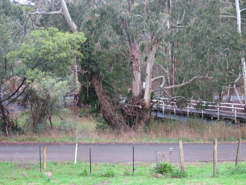 15 Broome Road, Flowerdale VIC 3658