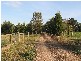 455 Glenburnie Road, Eden Park VIC 3757
