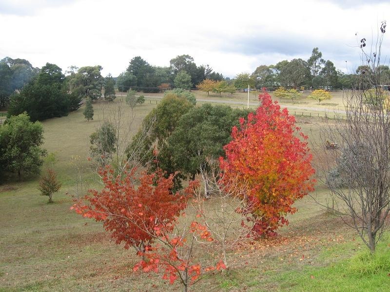 Kinglake West VIC 3757
