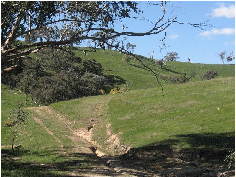 865 Strath Creek Road, Tyaak VIC 3658