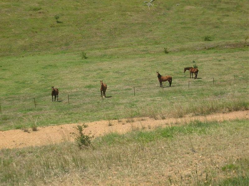 865 Strath Creek Road, Tyaak VIC 3658