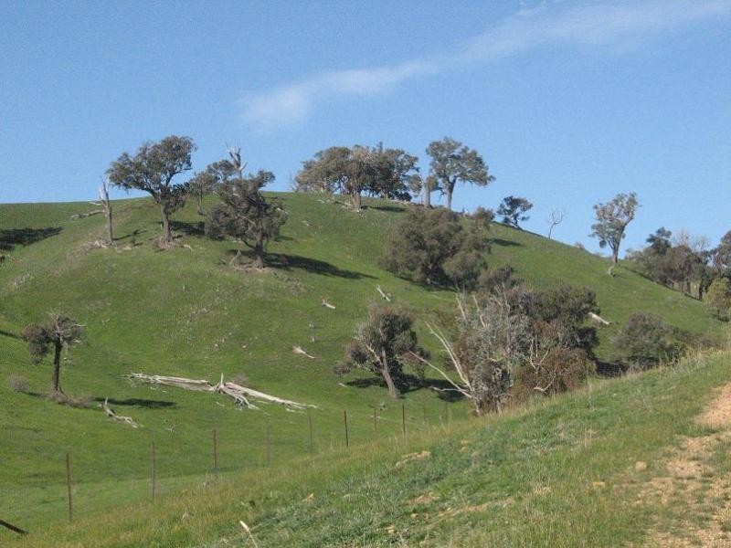 865 Strath Creek Road, Tyaak VIC 3658