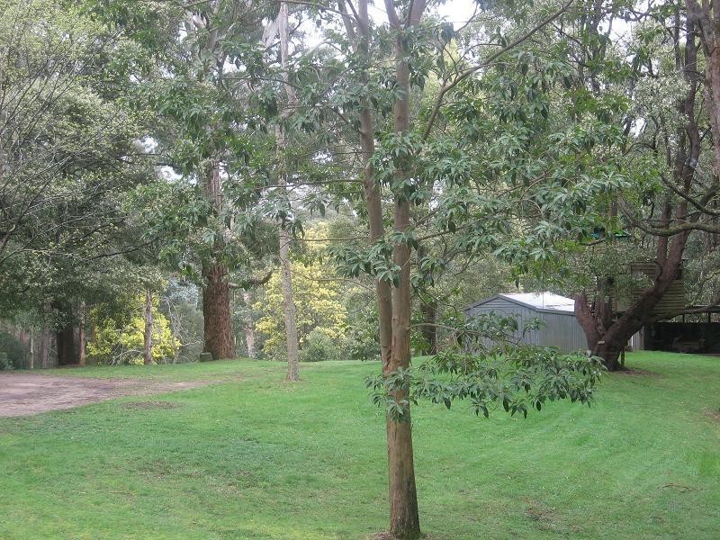 97 O’Grady’s Road, Kinglake West VIC 3757