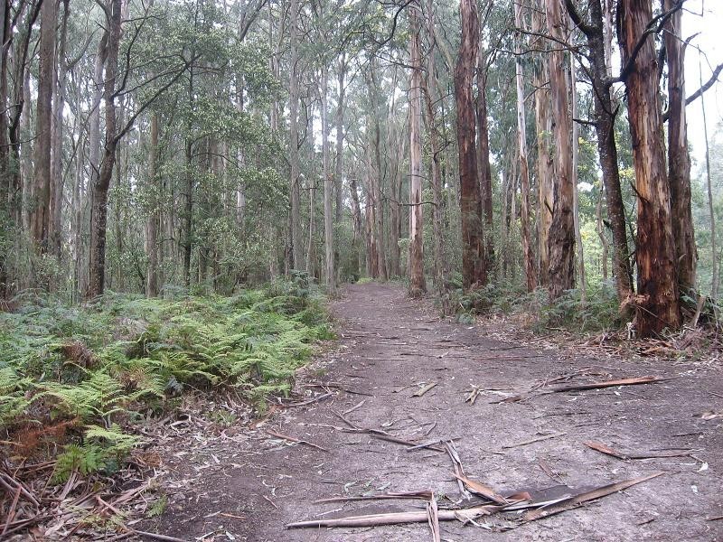 97 O’Grady’s Road, Pheasant Creek VIC 3757