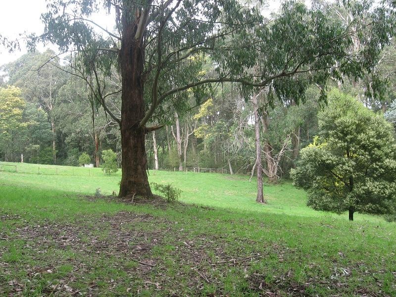 97 O’Grady’s Road, Pheasant Creek VIC 3757