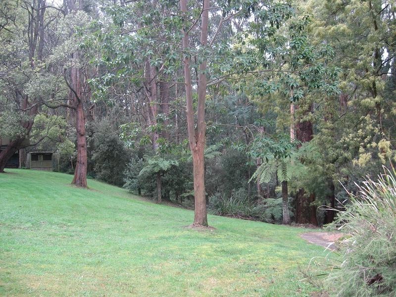 97 O’Grady’s Road, Pheasant Creek VIC 3757