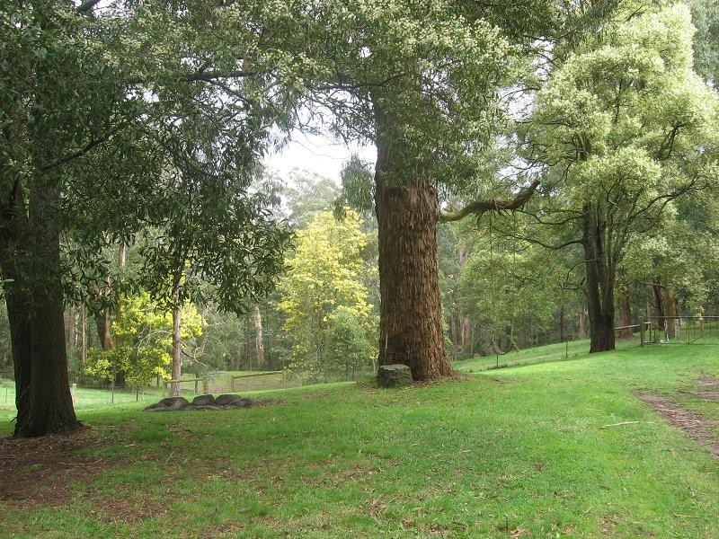 97 O’Grady’s Road, Pheasant Creek VIC 3757