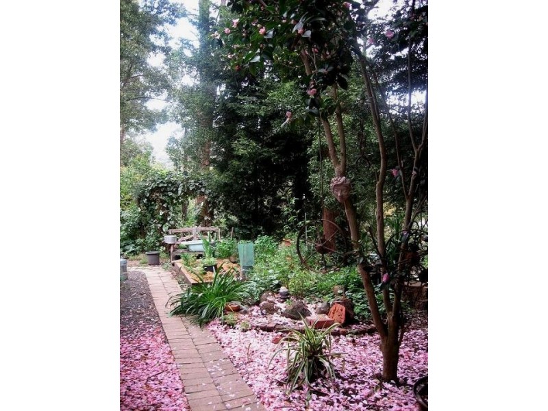 85 Silverparrot Road, Flowerdale VIC 3717