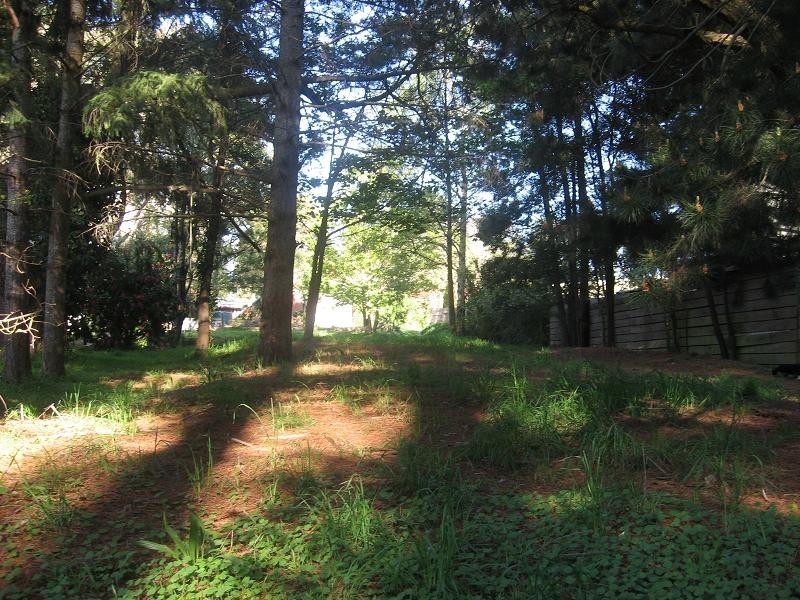 4 Scott Avenue,, Kinglake West VIC 3757