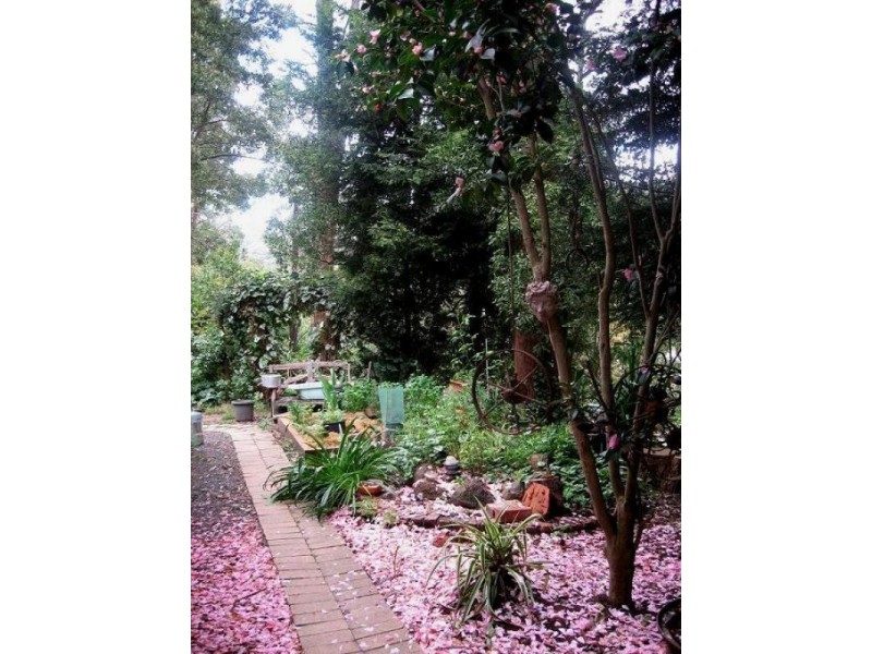 85 Silverparrot Road, Flowerdale VIC 3717