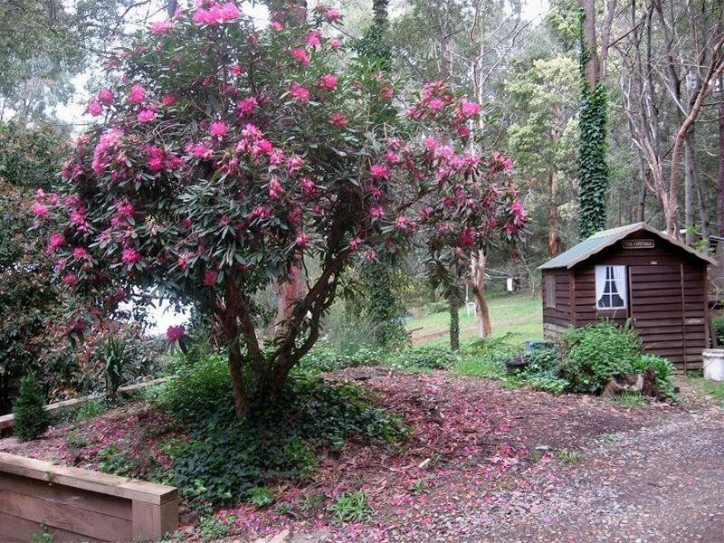 85 Silverparrot Road, Flowerdale VIC 3717