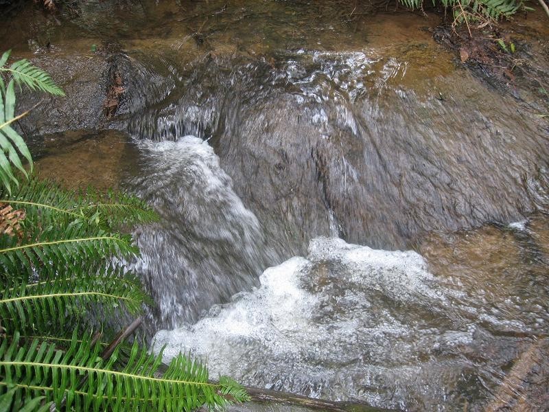 Pheasant Creek VIC 3757