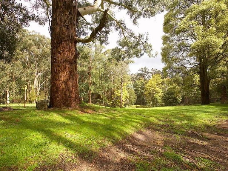 Pheasant Creek VIC 3757