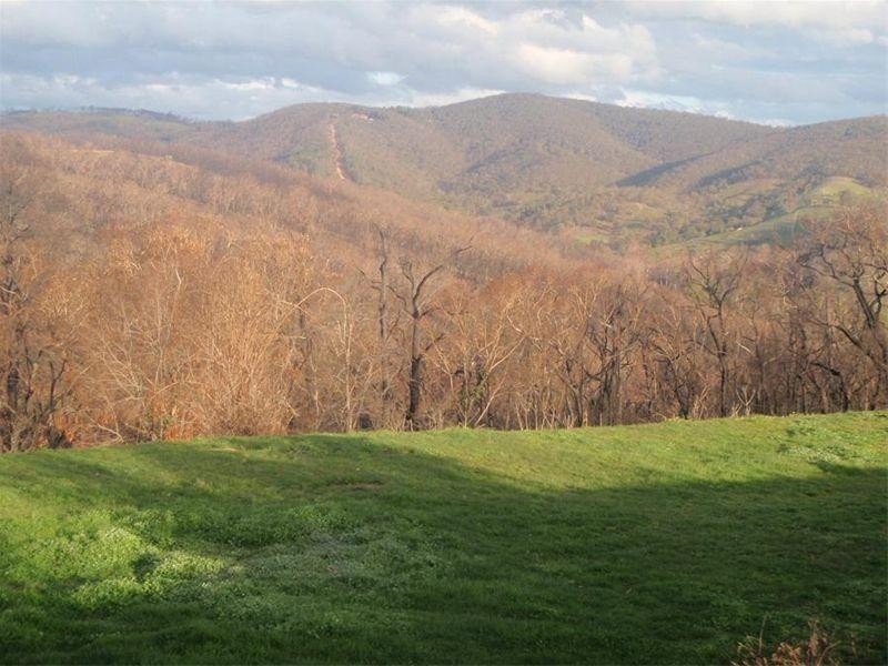 620 Yea Road, Humevale VIC 3757