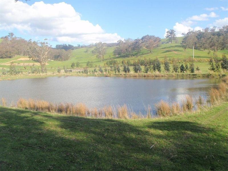 179 Collins Road, Flowerdale VIC 3717