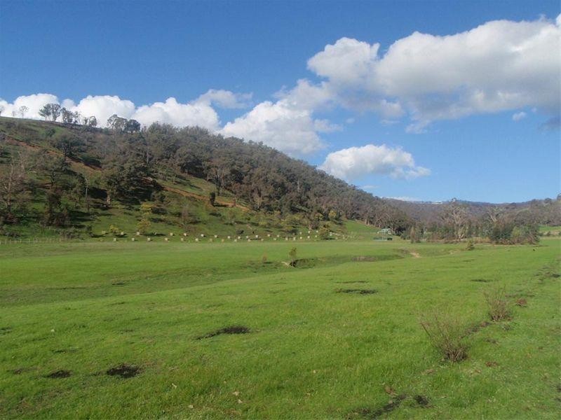 179 Collins Road, Flowerdale VIC 3717