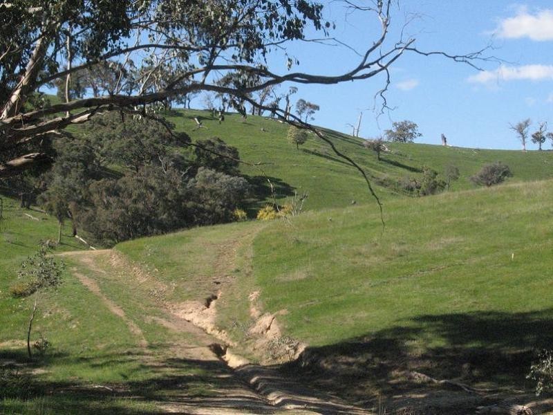 865 Strath Creek Road, Tyaak VIC 3658