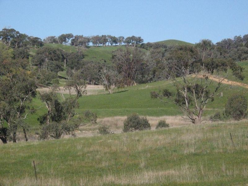 865 Strath Creek Road, Tyaak VIC 3658