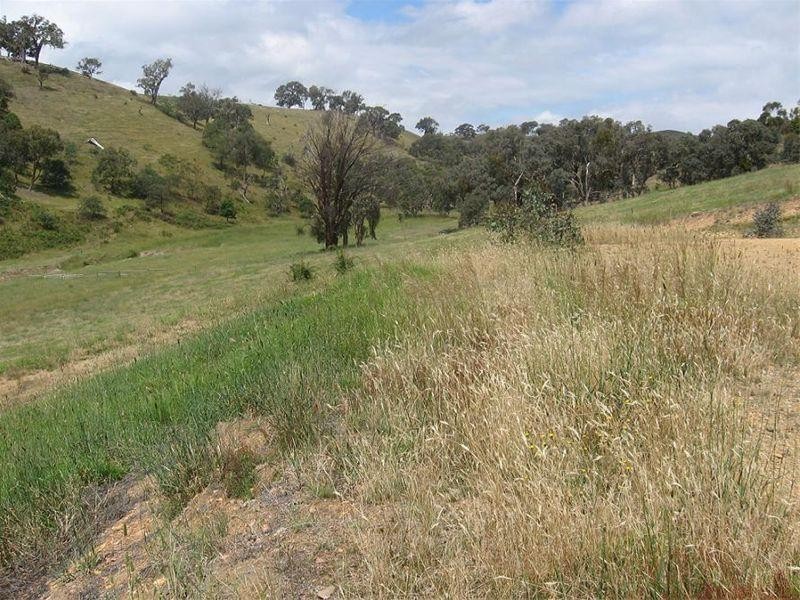 865 Strath Creek Road, Tyaak VIC 3658