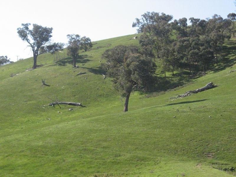 865 Strath Creek Road, Tyaak VIC 3658