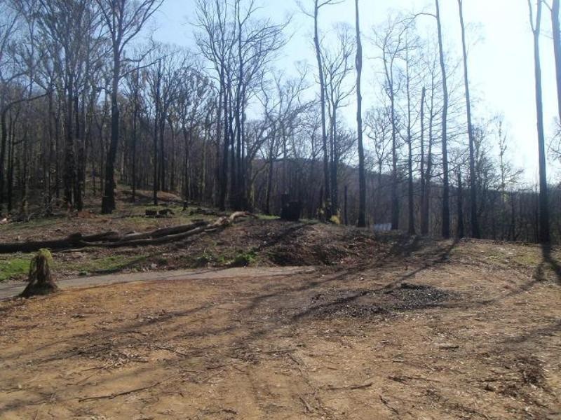 36 Silver Parrot Road, Flowerdale VIC 3717